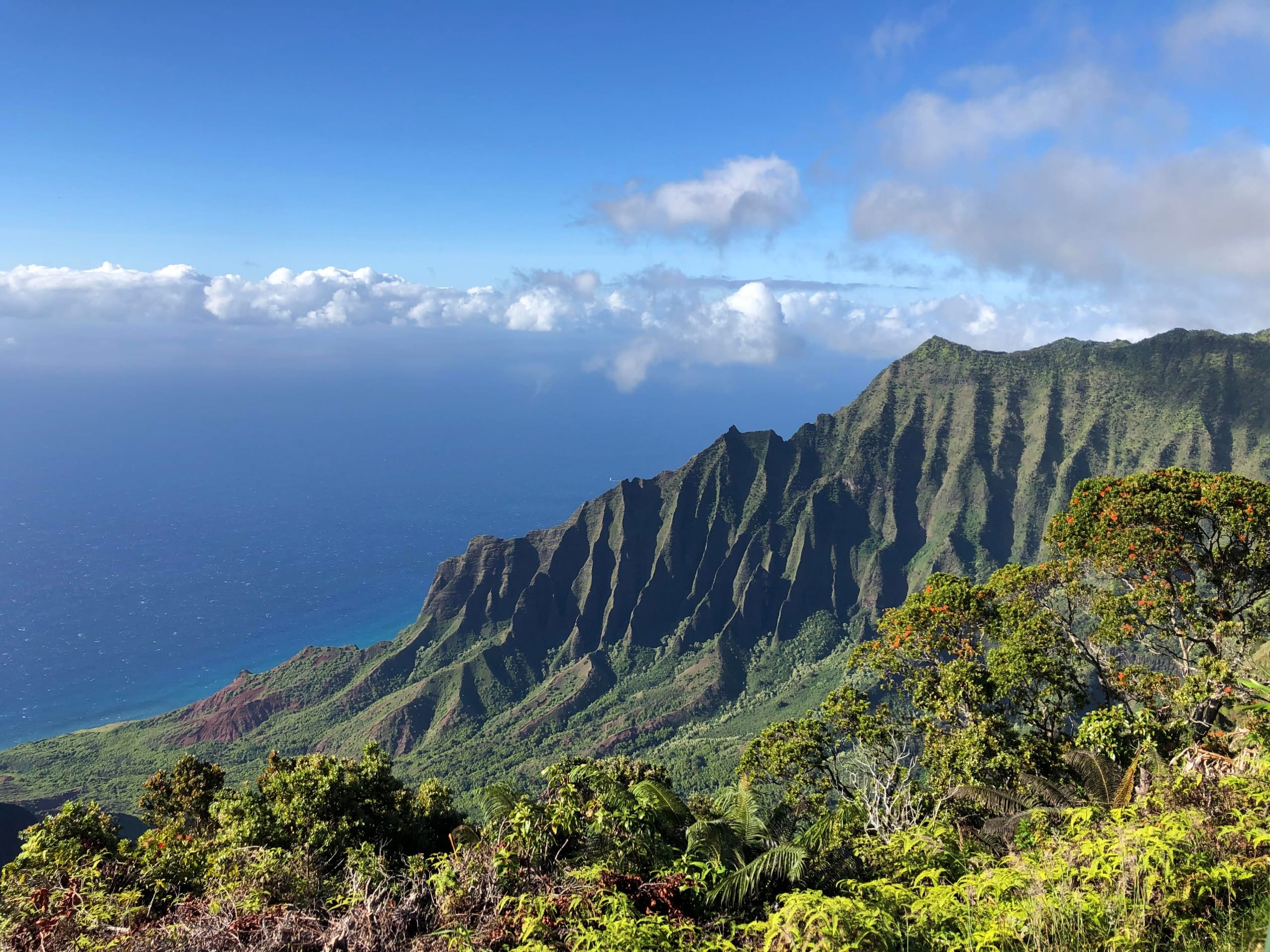 View of Kalalau from kauai camper van