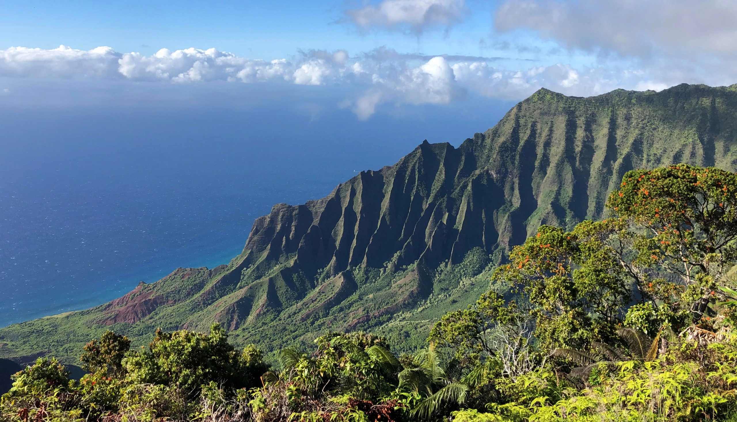 Camper Kauai view of Kalepa Ridge Trail