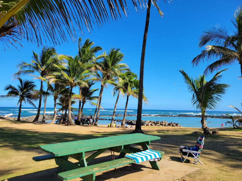 Lydgate Campground Lemon Drop Campers