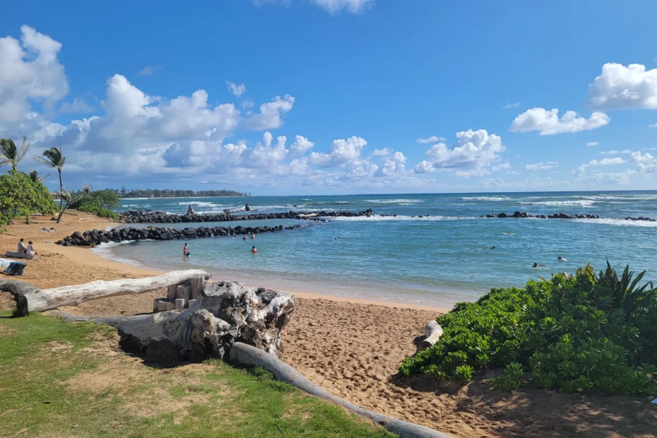 Lydgate Park Campground Lemon Drop Campers