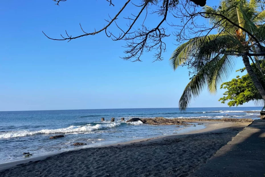 Ho‘okena Beach Park (County Park) - Big Island