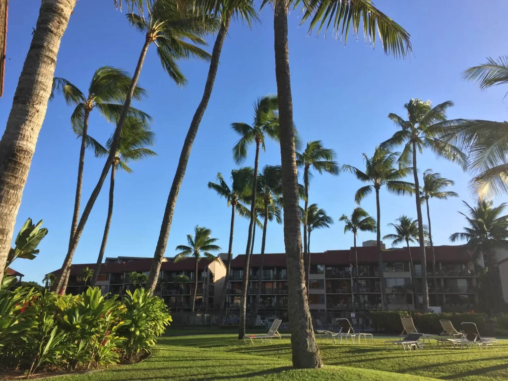 Laupahoehoe Beach Park (County Park) - Big Island