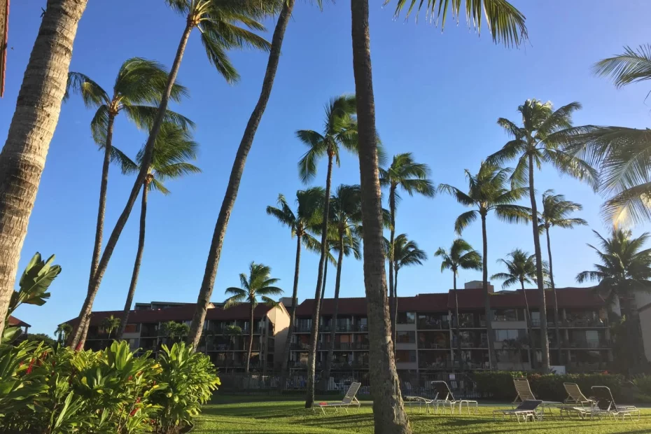 Laupahoehoe Beach Park (County Park) - Big Island