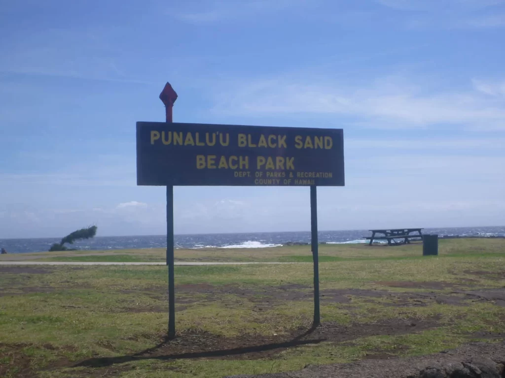 Punalu‘u Black Sand Beach Park (County Park) - Big Island