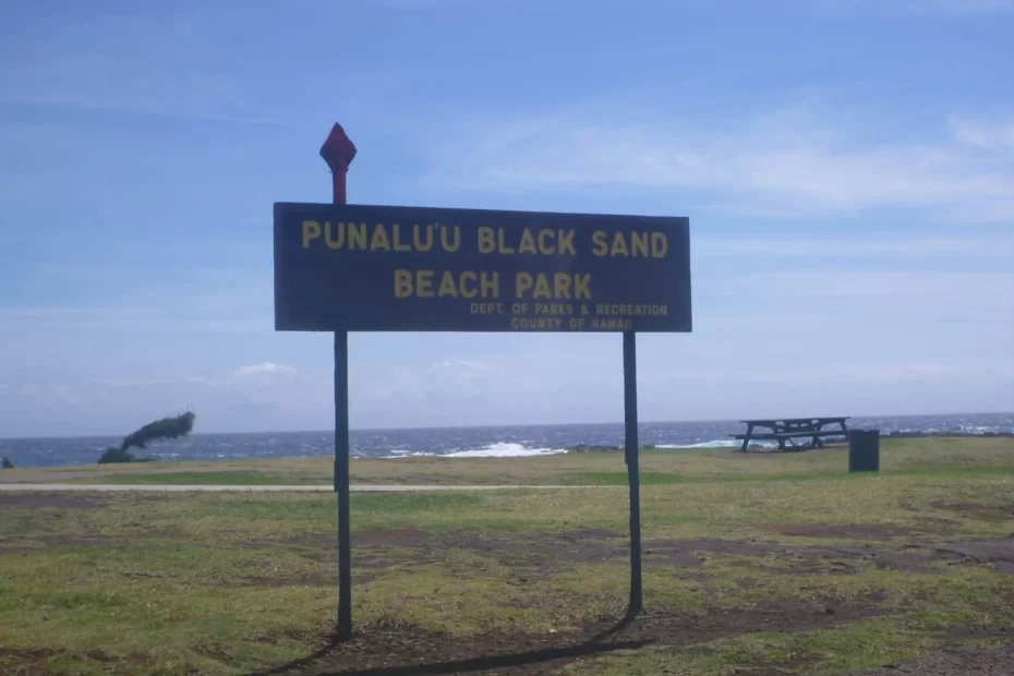 Punalu‘u Black Sand Beach Park (County Park) - Big Island