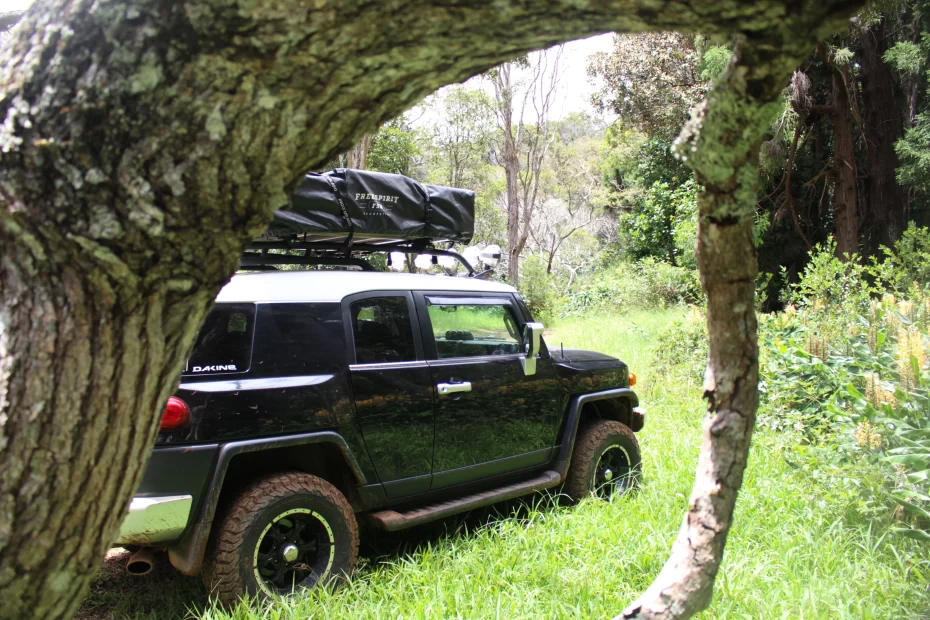 Pet-Friendly Campervan