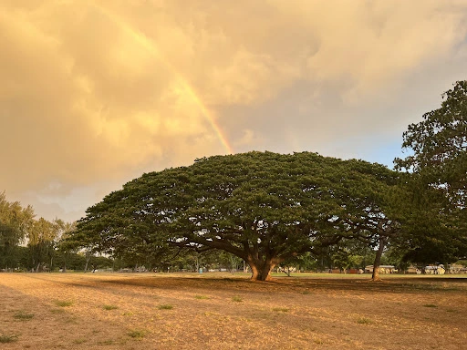 Bill and Peggy Paty Kaiaka Bay Beach Park
