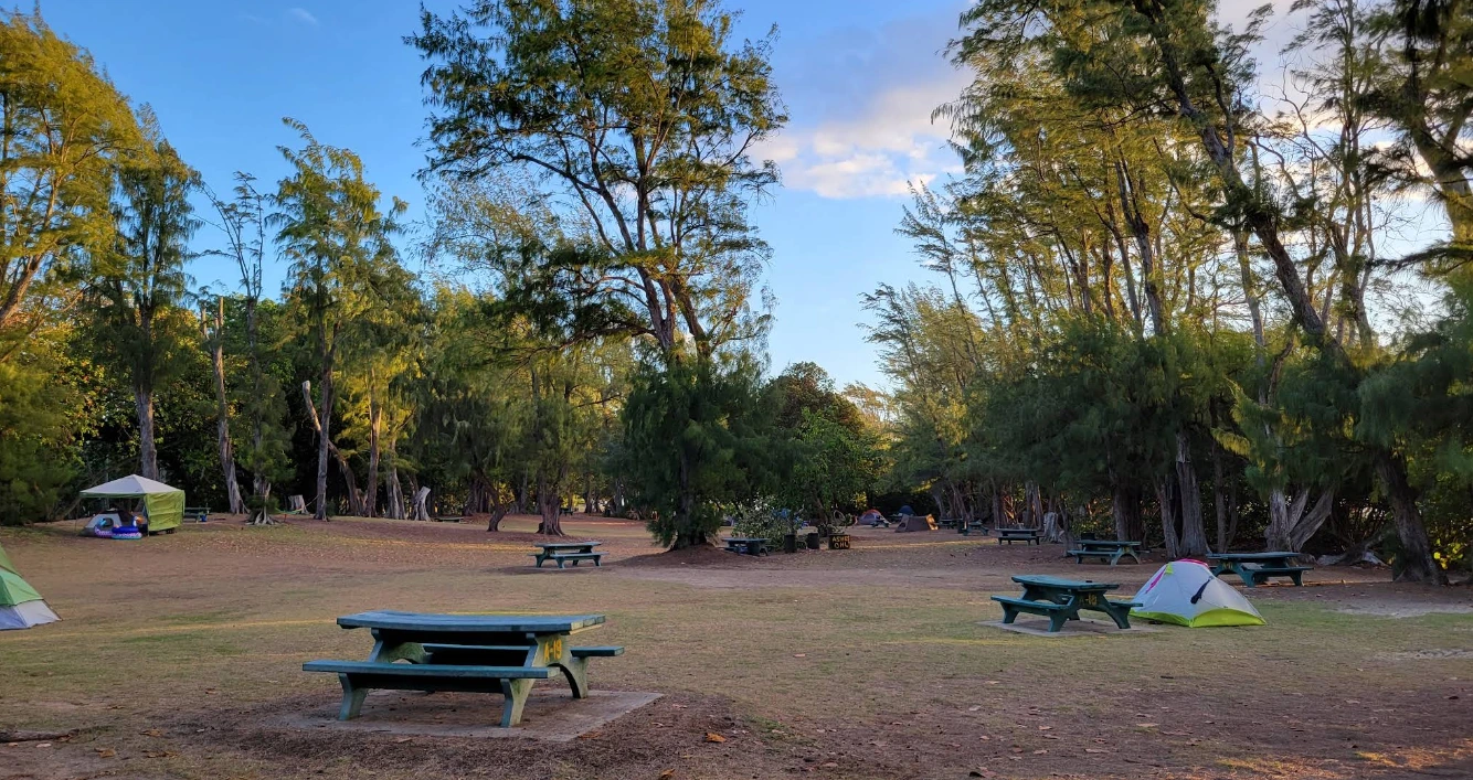 Tent camping area with picnic tables at Mālaekahana State Recreation Area Oahu