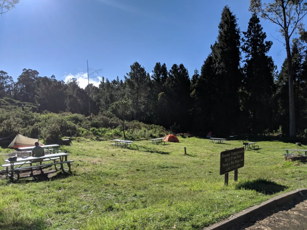 Open grassy tent camping area at Hosmer Grove Campground with picnic tables and campsites surrounded by eucalyptus and pine trees in Haleakalā National Park, Maui.
