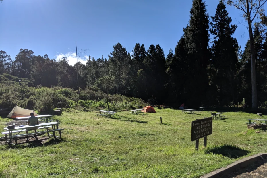 Hosmer Grove Campground