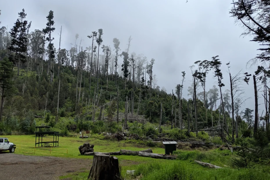 Hōlua 5 Campsite: Backcountry Camping in Haleakalā Crater