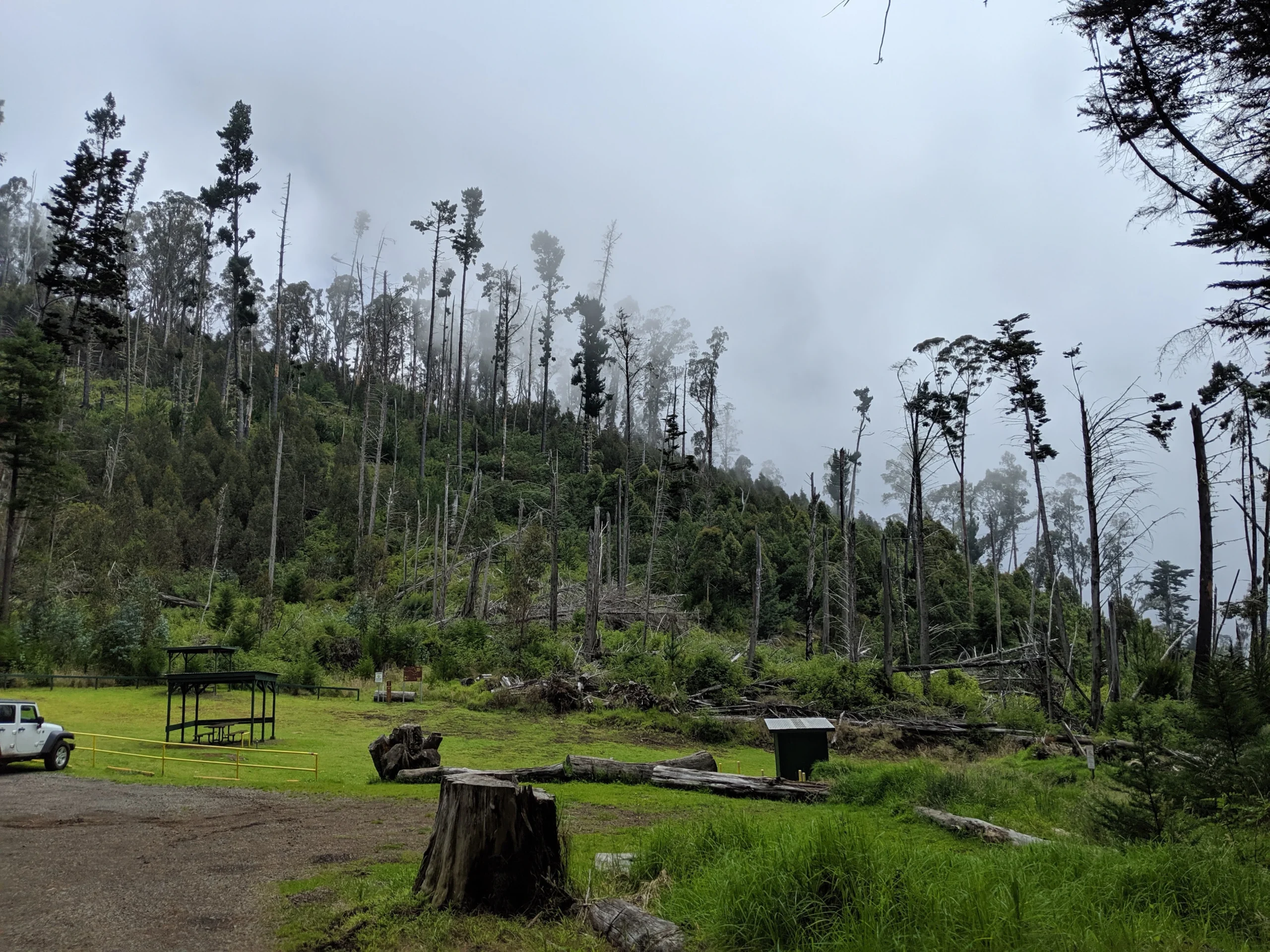 Hōlua 5 Campsite: Backcountry Camping in Haleakalā Crater