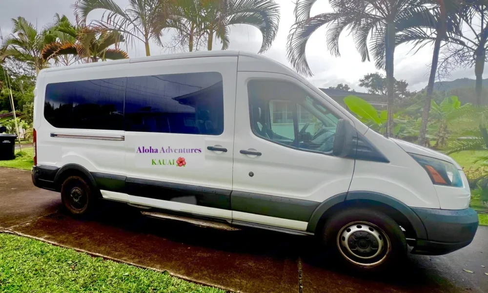 Vera camper van in Kapaʻa, Hawaii, with seating for up to 15 passengers. This 17-foot camper van sleeps 1 guest in a full-size bed, offers delivery within 50 miles, includes unlimited mileage, and is not pet-friendly.