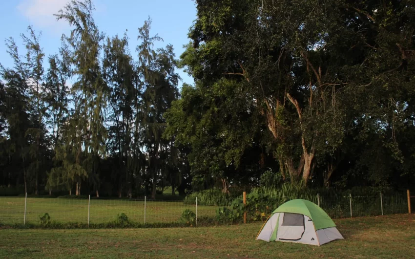 maleka-farm_4a23a744-7e65-433b-afa1-cbbe2d5123da